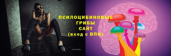 дурь Приозерск