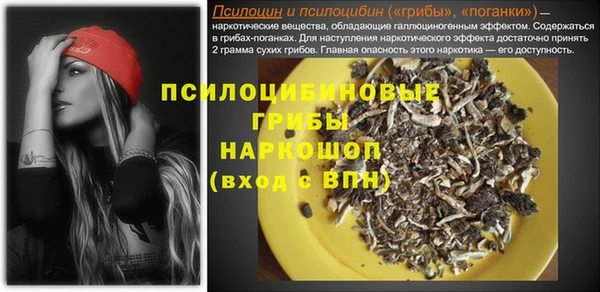 spice Покачи