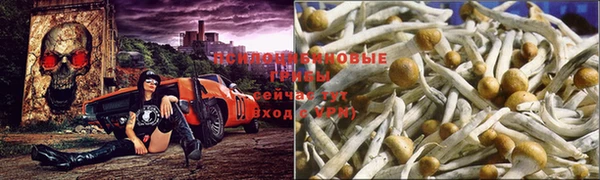 MDMA Premium VHQ Протвино